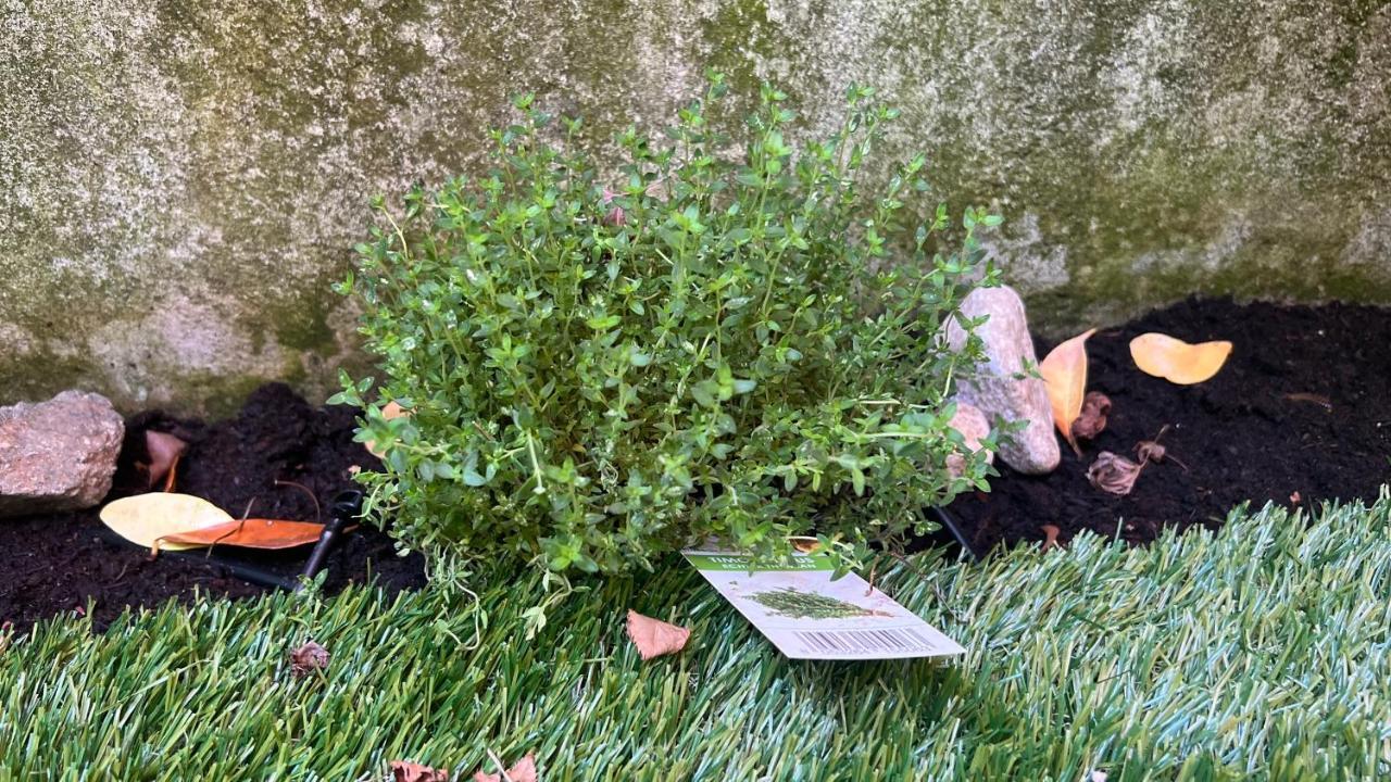 Garden Suite ボルツァーノ エクステリア 写真