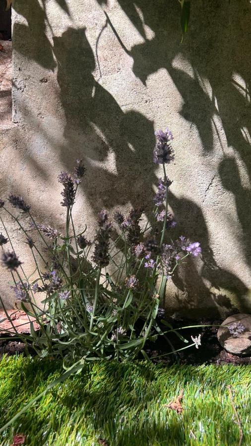 Garden Suite ボルツァーノ エクステリア 写真