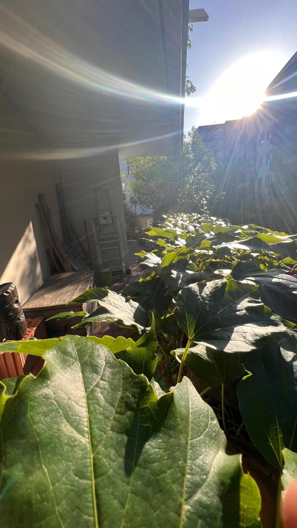 Garden Suite ボルツァーノ エクステリア 写真