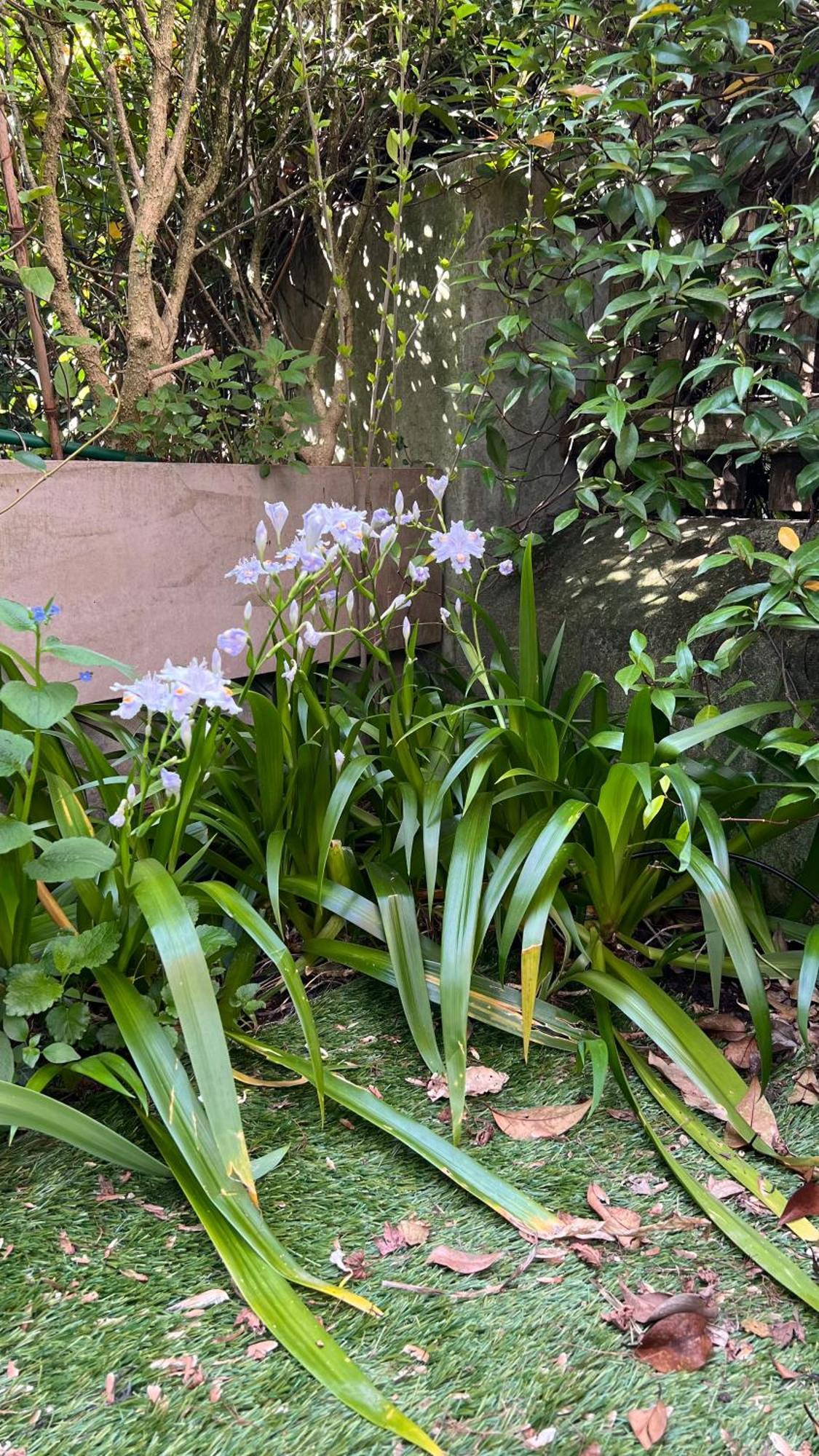 Garden Suite ボルツァーノ エクステリア 写真