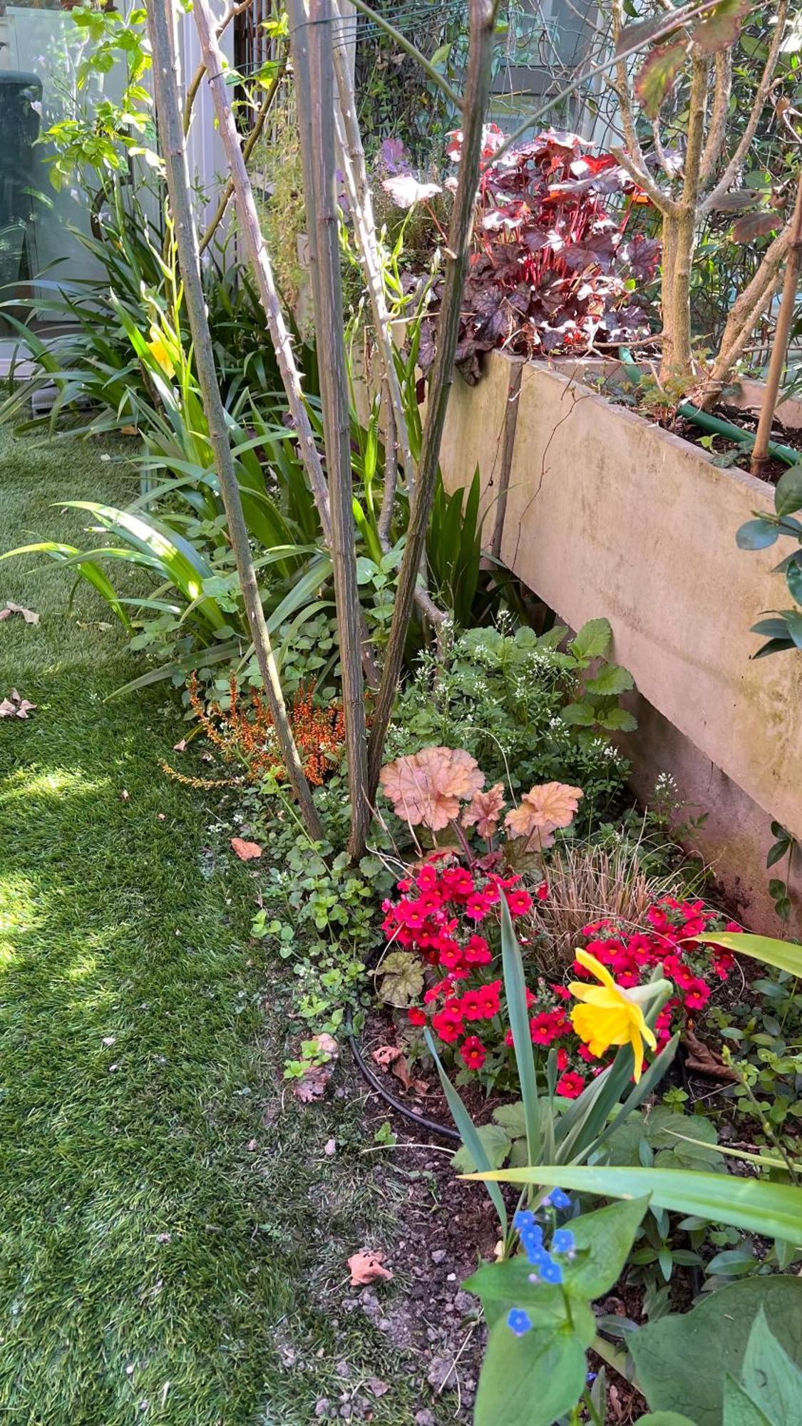 Garden Suite ボルツァーノ エクステリア 写真